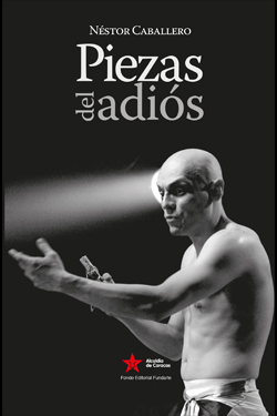 portadaLibroPiezasDelAdios