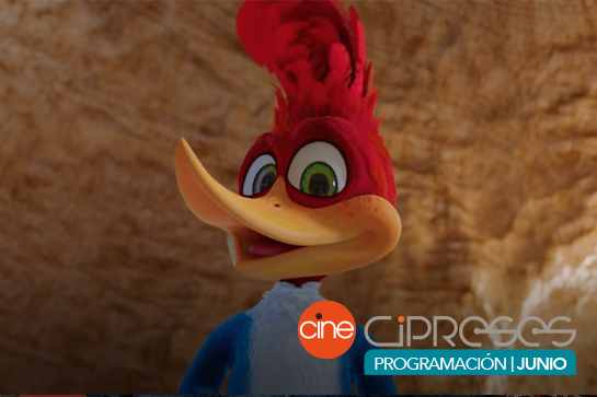 PajaroLoco