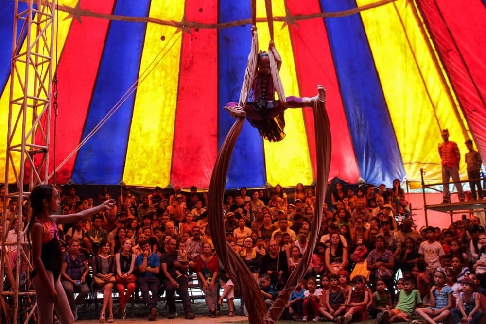circo
